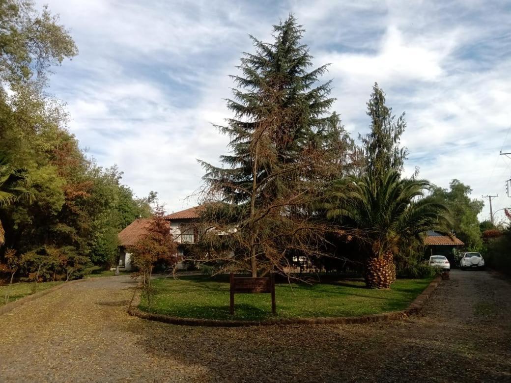 Hotel Pulkue Curico Exterior photo